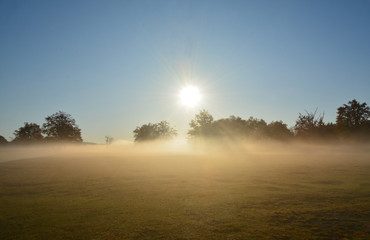 Fototapeta na wymiar autumn morning with fog in the field