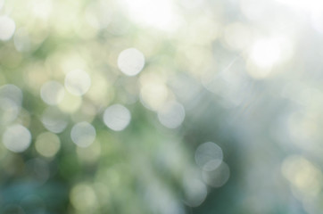 green nature blurred bokeh background