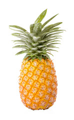 Victoria pineapple sliced on white background