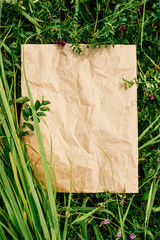 Creative background from craft paper in green natural grass. Concept of ecological products, nature
