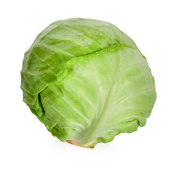 cabbage on white background