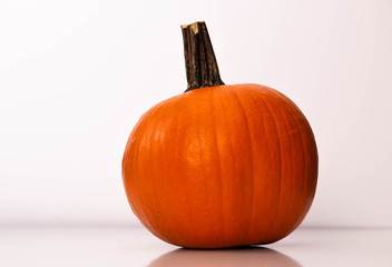 Orange Medium Pumpkin 