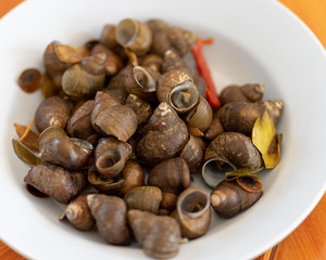 Pond snail, Marsh snail, River snail,Viviparidae - Boiled snail,
