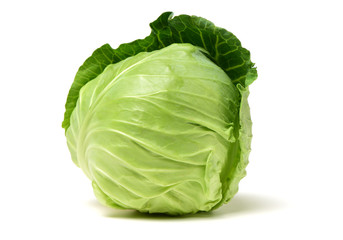Fototapeta premium cabbage on white background