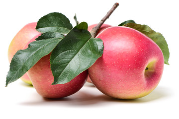 Red apples isolated on white background