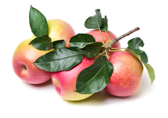 Red apples isolated on white background