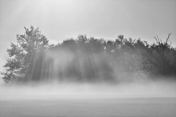 the sun's rays through the morning mist