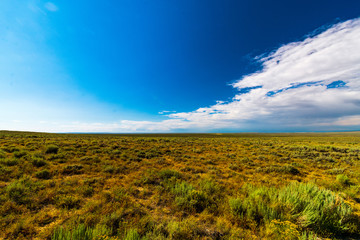 Bureau of Land Management, Wild Horse Range, Rock Springs Wyoming