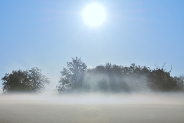 the sun's rays through the morning mist