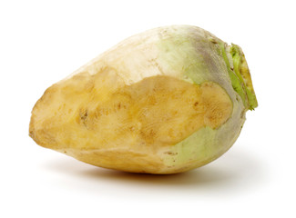 Fresh swede vegetable on white background