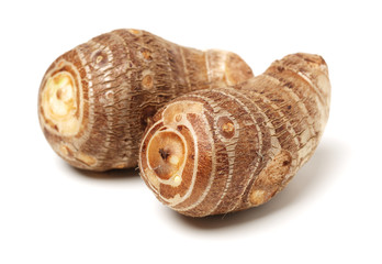 Taro on a white background