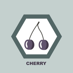 Vector illustration. Cherry icon in gray tones.