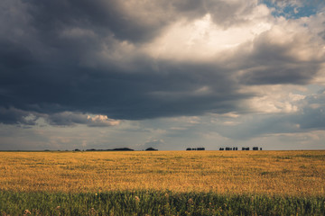 Fototapeta premium thunderclouds with sunbeams over a wheat field