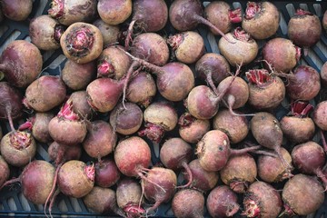 Beetroots at the market