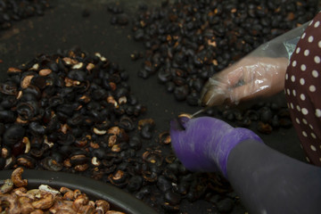 The traditional method of making cashew nuts by burning and then hammering the inside out
