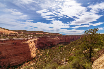 Colorado National Monument, Grand Junction, Colorado
