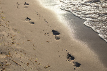 波打ち際の足跡（夏、北ドイツ）