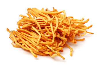 Fresh Cordyceps mushroom on white background