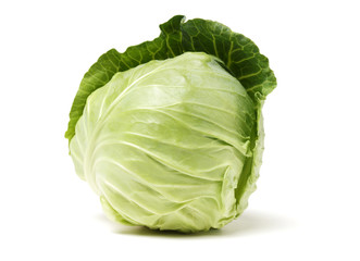 Fototapeta premium cabbage on white background