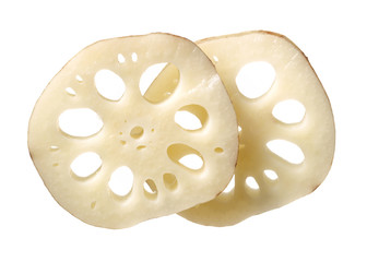 Lotus root on the white background
