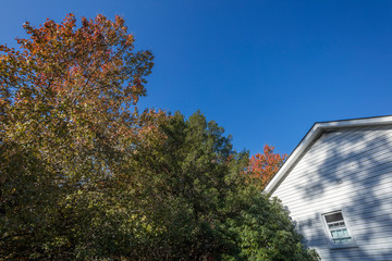 アメリカの田舎