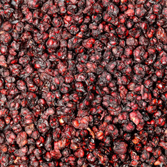 Schisandra on white background