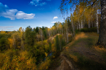 Fototapeta na wymiar Autumn landscapes from the city park