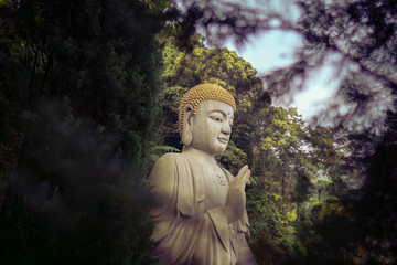 Awaken the Buddha within and you shall find peace