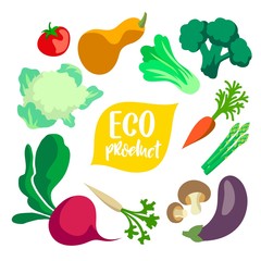 set of natural eco products. color illustration on a white