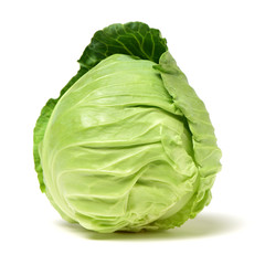 cabbage on white background