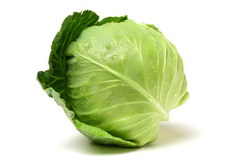 Obraz premium cabbage on white background
