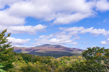 秋色　栗駒山の紅葉