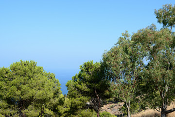 Beautiful view of the sea from the top of La Rocca mountain near the town of Cefalu. Sicily, Italy