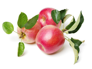 Red apples isolated on white background