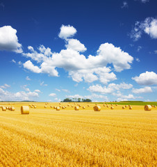 Yellow golden straw bales of hay in the stubble field, agricultural field under a blue sky with clouds