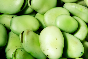 the broad beans