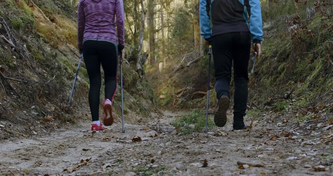 Middle aged Caucasian couple or friends practicing nordic walking on a scenic forest trail in autumn. 4K UHD RAW graded footage