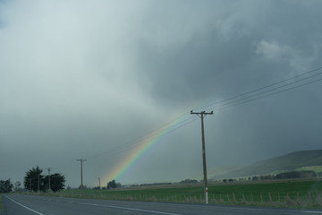 Rainbow over the green field of dairy farm in New Zealand.
