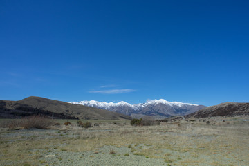 Beautiful scenery of snowcap mountain with green dairy farm in Arthur's Pass,New Zealand.