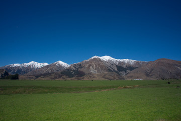 Beautiful scenery of snowcap mountain with green dairy farm in Arthur's Pass,New Zealand.