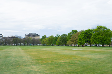 Beautiful green field at the park with building city background.