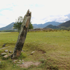 Altai antiquities. Interesting objects in the taiga. Ritual stone, ail, fabulous logs heroes.