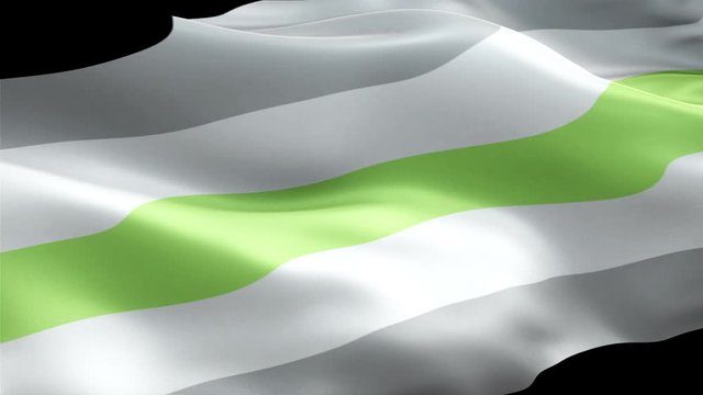 Agender Flag Rainbow waving. 3d Genderfree Pride Symbol flag waving Isolated. Sign of Rainbow seamless loop animation. Agender flag HD resolution Background. Genderfree rights Rainbow Pride Flag LGBT 