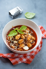 Bowl of italian gnocchi cooked with tomato sauce, spinach and cheese, studio shot on a grey concrete background
