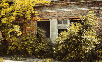 abandoned building with broken windows