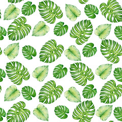 Tropical palm leaves, jungle monstera leaf floral summer seamless background .