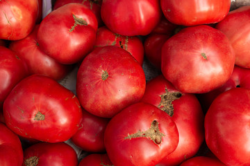 tomatoes for sale in the market