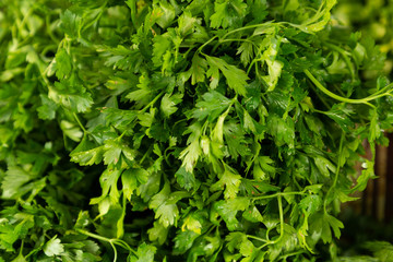 parsley for sale in the market