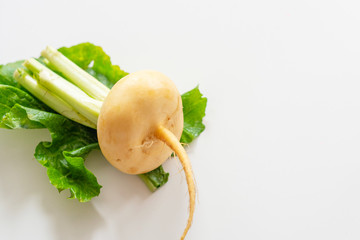 fresh ripe turnips on white background