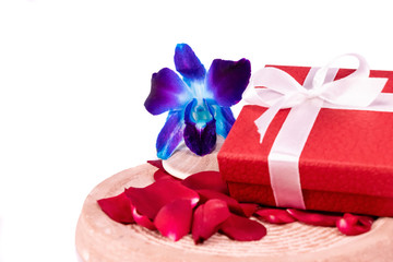 Top view of Blue orchids with decorated red gift box and rose petals on white background in romantic gifts concept